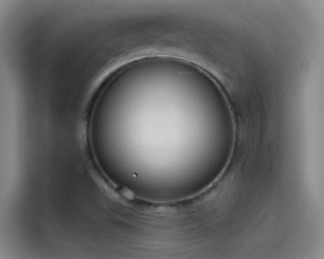 X0000114081503200910131226