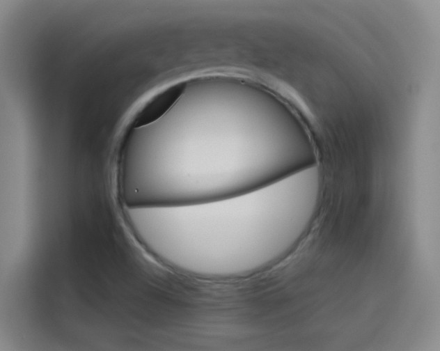 X0000114081504200910131226