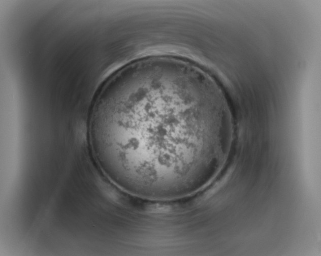 X0000114081505200910131226