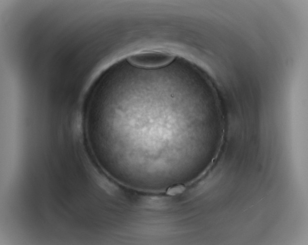 X0000114081506200910131226