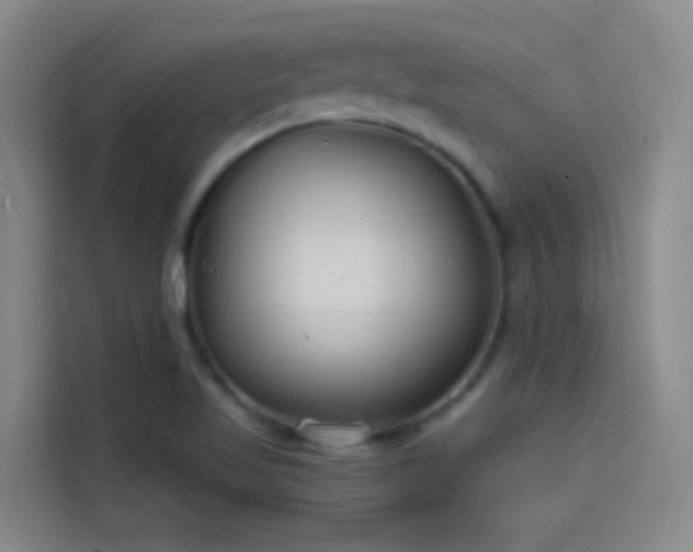 X0000114081509200910131226