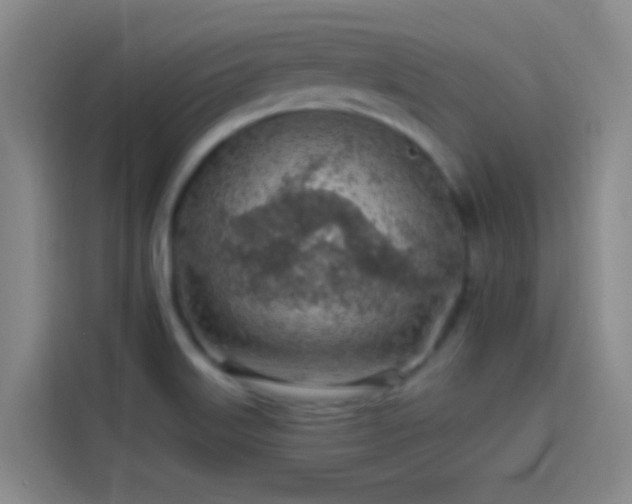 X0000114081515200910131226