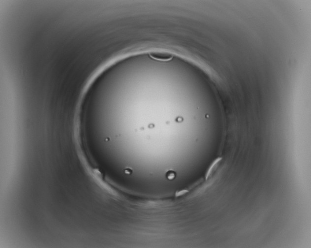 X0000114081518200910131226