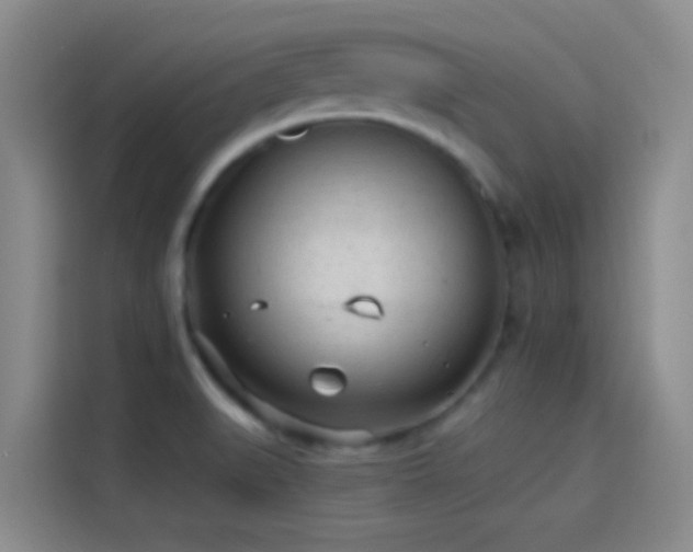 X0000114081519200910131226