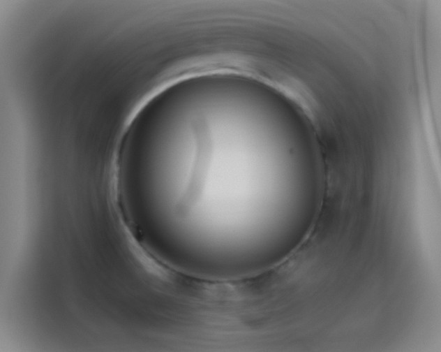 X0000114081524200910131226