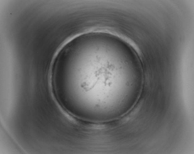 X0000114081525200910131226