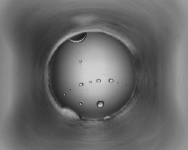 X0000114081526200910131226