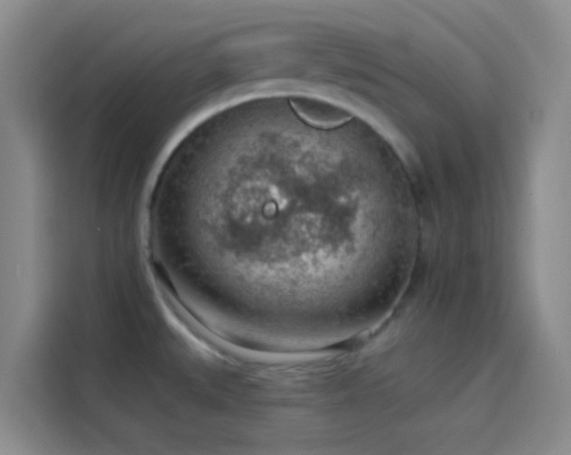 X0000114081527200910131226