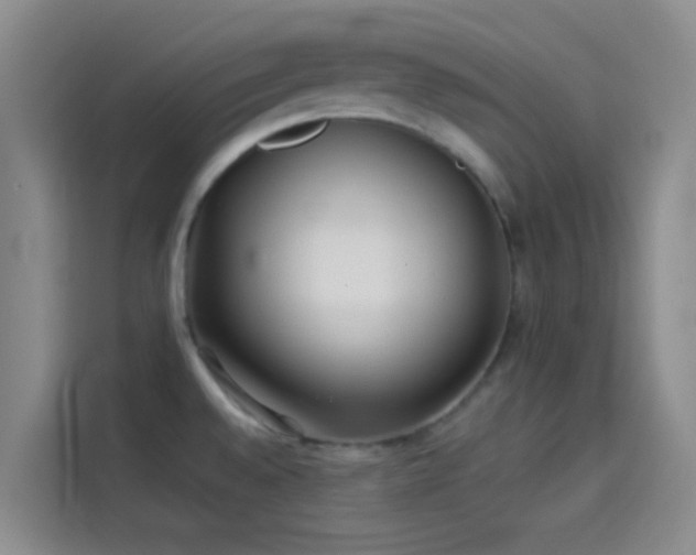 X0000114081528200910131226