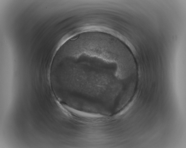 X0000114081529200910131226