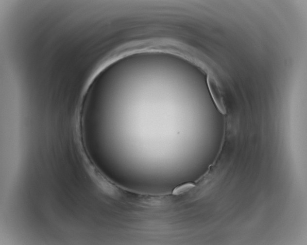 X0000114081530200910131226