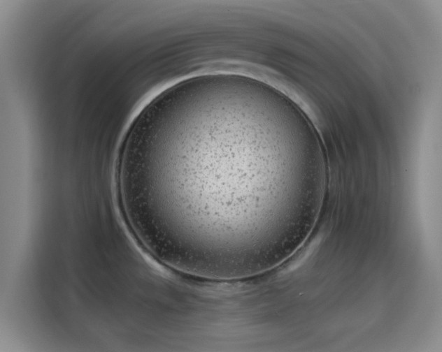 X0000114081533200910131226