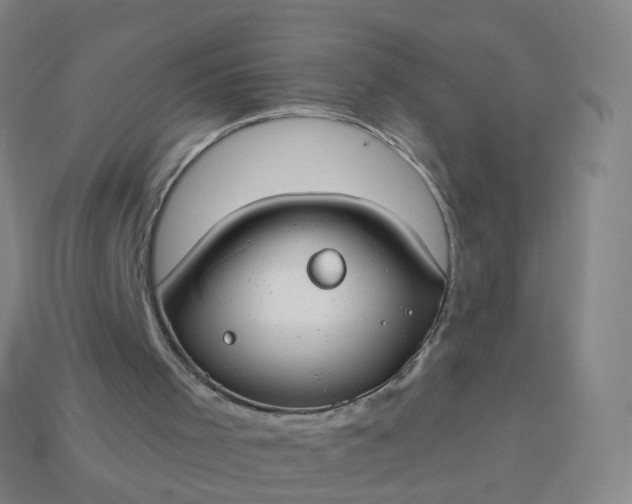 X0000114080001200910191552