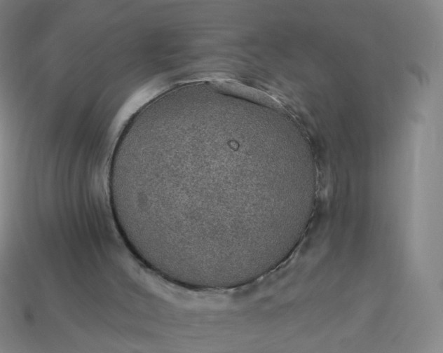 X0000114080004200910191552