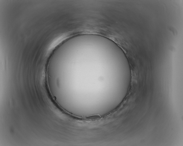 X0000114080005200910191552