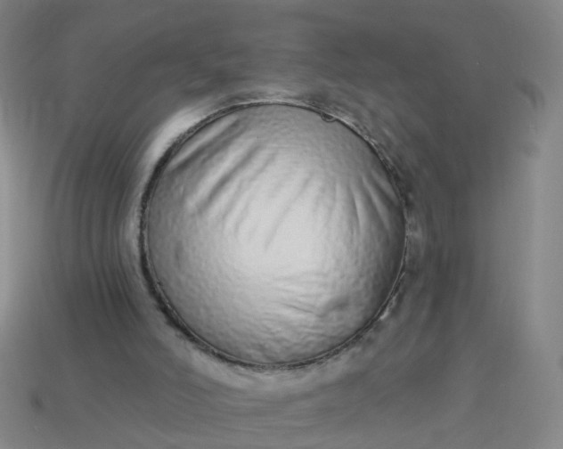 X0000114080006200910191552