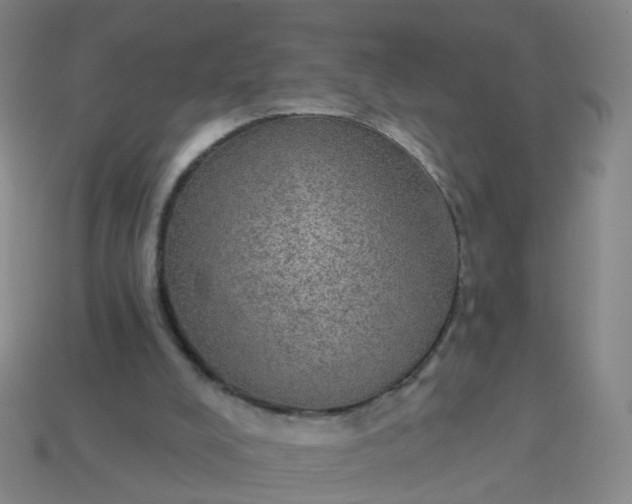 X0000114080008200910191552