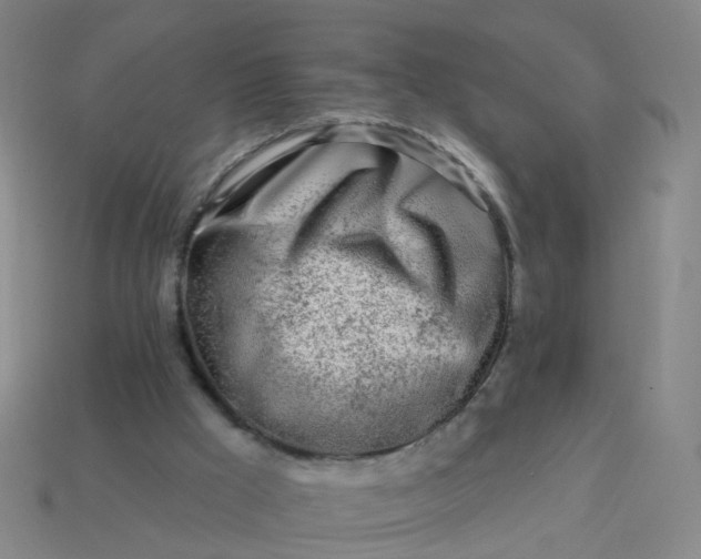 X0000114080009200910191552