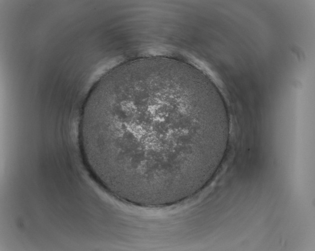 X0000114080010200910191552