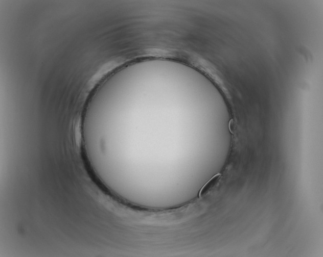 X0000114080011200910191552