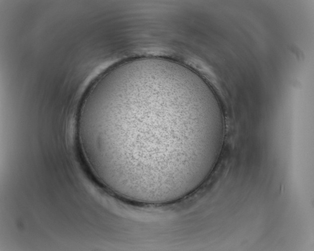 X0000114080012200910191552