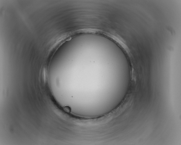 X0000114080013200910191552