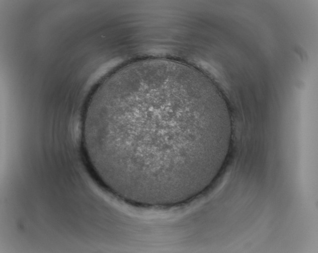 X0000114080016200910191552