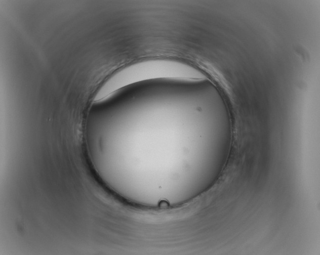 X0000114080017200910191552