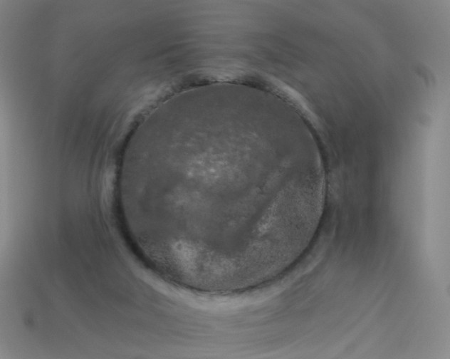 X0000114080018200910191552