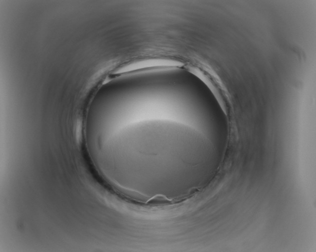 X0000114080019200910191551