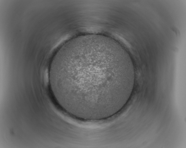 X0000114080020200910191551