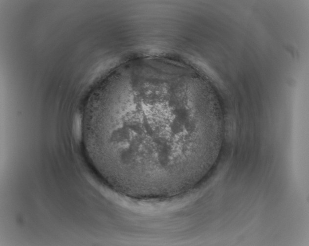 X0000114080022200910191551