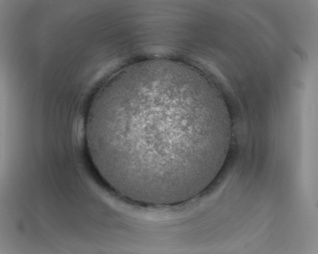 X0000114080024200910191551