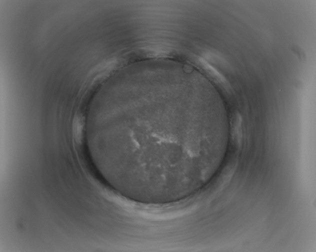 X0000114080026200910191551