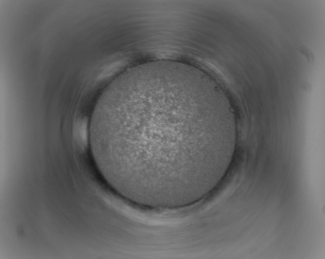 X0000114080028200910191551