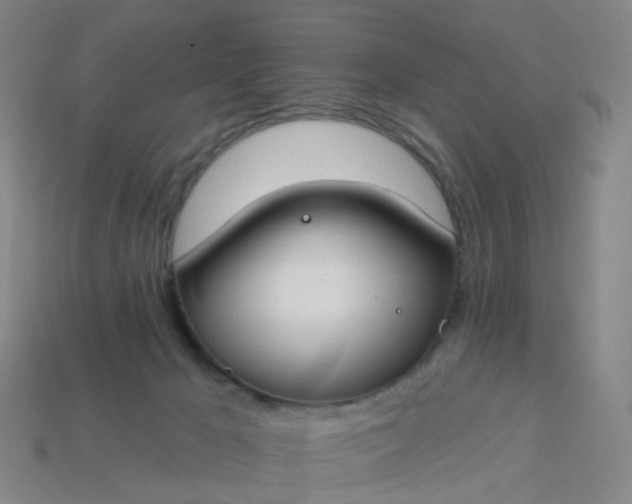 X0000114080029200910191551