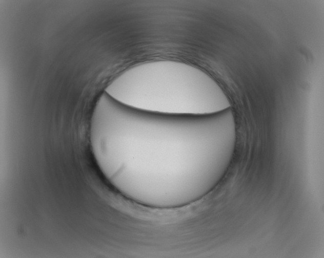 X0000114080031200910191551