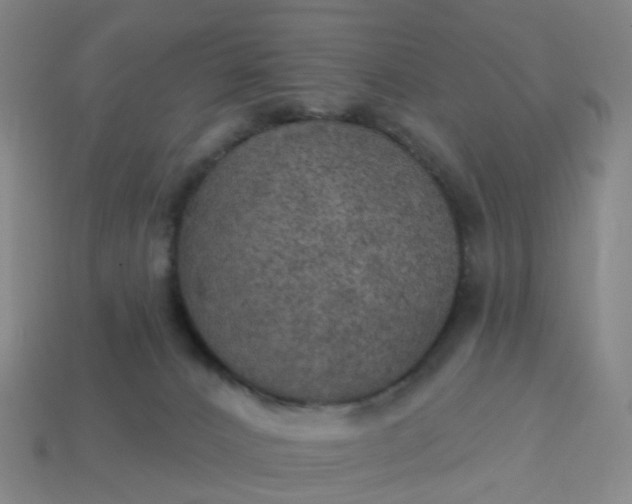 X0000114080032200910191551