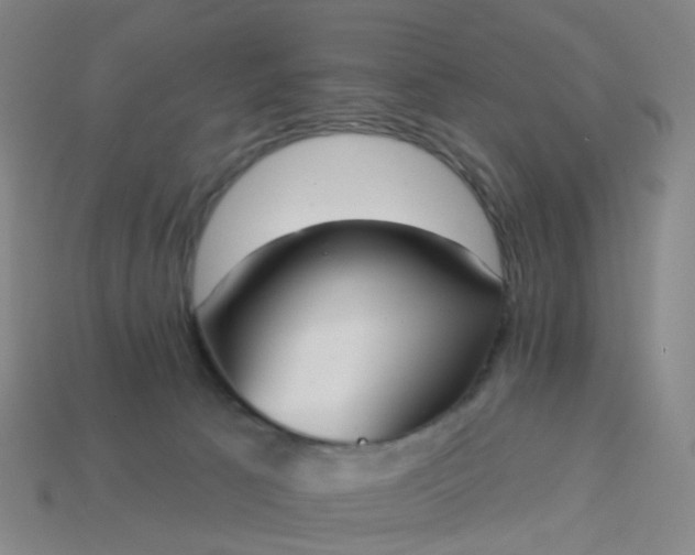 X0000114080033200910191551