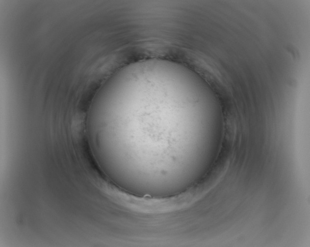 X0000114080034200910191551