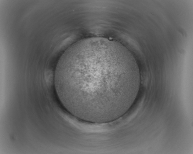 X0000114080036200910191551