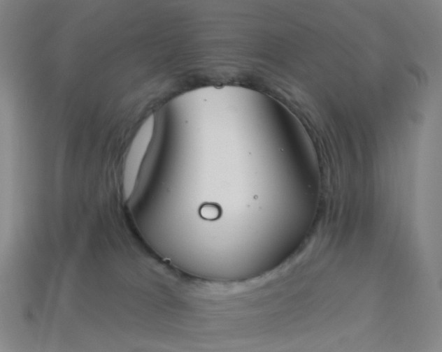 X0000114080037200910191551