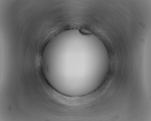 X0000114080038200910191551