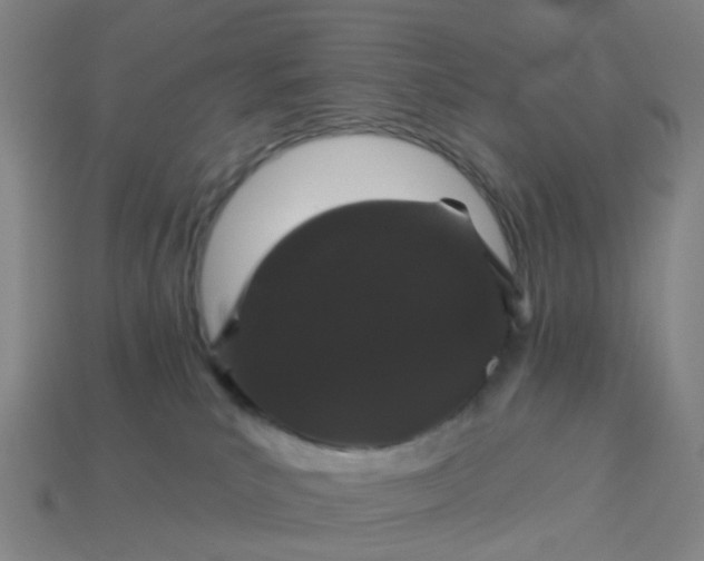 X0000114080039200910191551