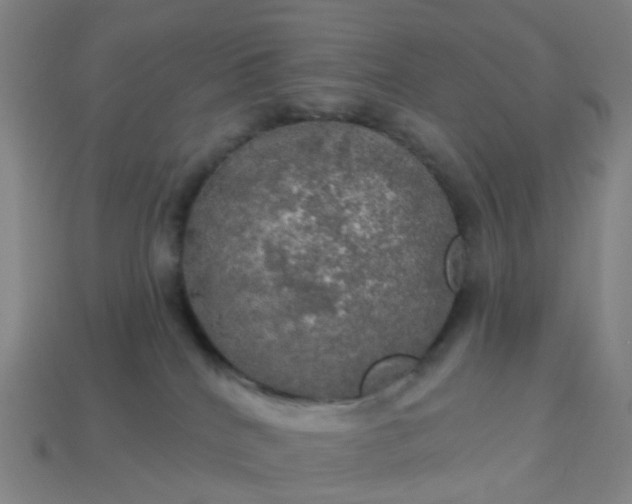 X0000114080040200910191551