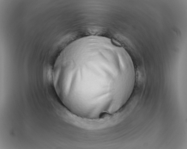 X0000114080042200910191551