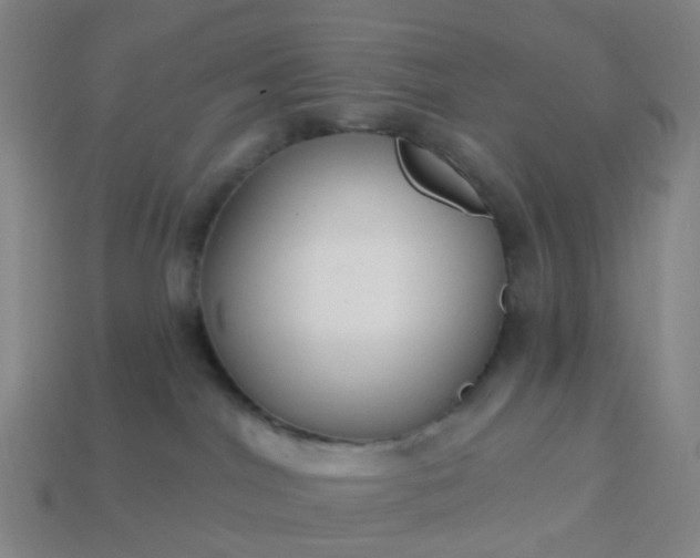 X0000114080044200910191551