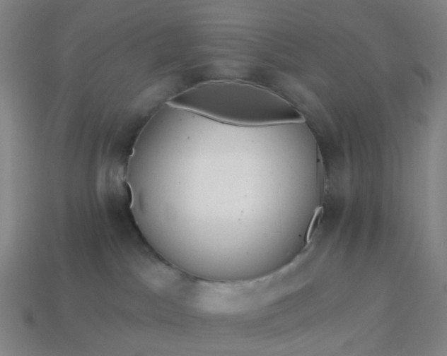 X0000114080045200910191551