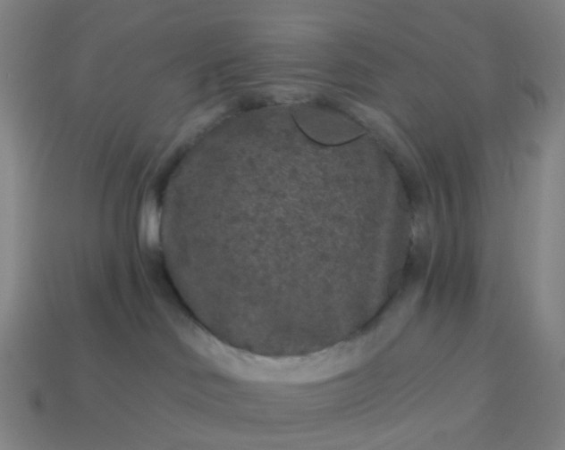 X0000114080046200910191551