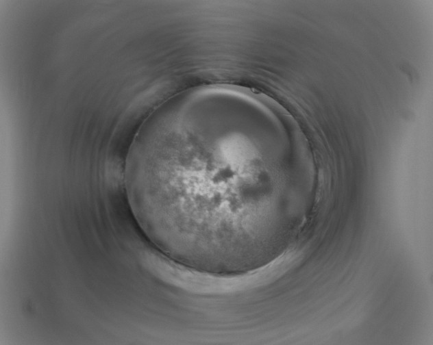 X0000114080048200910191551